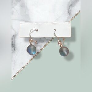 Elegant stainless steel drop earrings